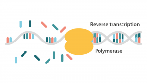 PCR là gì, ứng dụng của PCR trong lĩnh vực y học hiện đại