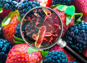 Tác hại của vi khuẩn Bacillus cereus trong thực phẩm
