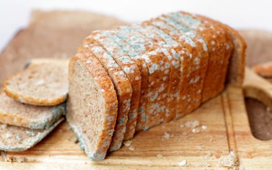 Vệ sinh an toàn thực phẩm: 3 lầm tưởng về nấm men và nấm mốc