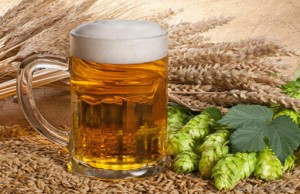 Kỷ niệm ngày Bia Quốc Tế