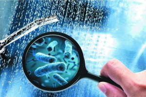 Legionella trong nước