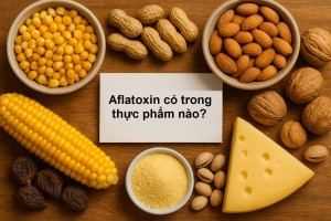 Aflatoxin có trong thực phẩm nào | Các phương pháp kiểm tra Aflatoxin