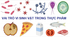Vai trò của vi sinh vật trong chế biến thực phẩm