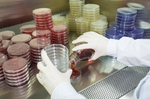 5 sai lầm thường gặp khi đổ môi trường thạch thủ công và giải pháp hiện đại cho kiểm nghiệm vi sinh