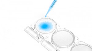 Giải pháp kiểm nghiệm vi sinh nhanh với đĩa Compact Dry