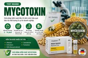 Giải pháp test nhanh độc tố nấm mốc mycotoxin trong 10 phút