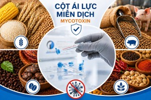 Ứng dụng cột IAC trong từng ngành – Giải pháp tối...