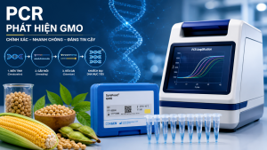 Phương pháp PCR phát hiện GMO hoạt động như thế...