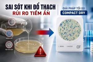 Sai sót khi đổ thạch: Rủi ro tiềm ẩn mà nhiều...