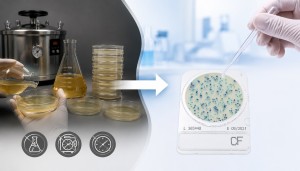 Tại sao nhiều nhà máy thực phẩm đang chuyển từ agar truyền thống sang Compact Dry