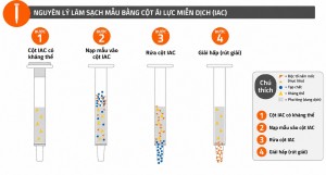 Hướng dẫn sử dụng cột ái lực miễn dịch Mycotoxin...