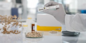So sánh cột ái lực miễn dịch và test nhanh Mycotoxin – Nên chọn phương pháp nào?