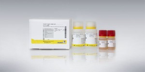 Enzytec™ Liquid Sucrose / D-Glucose