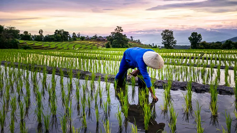 Đảm bảo chất lượng từ trang trại đến bàn ăn
