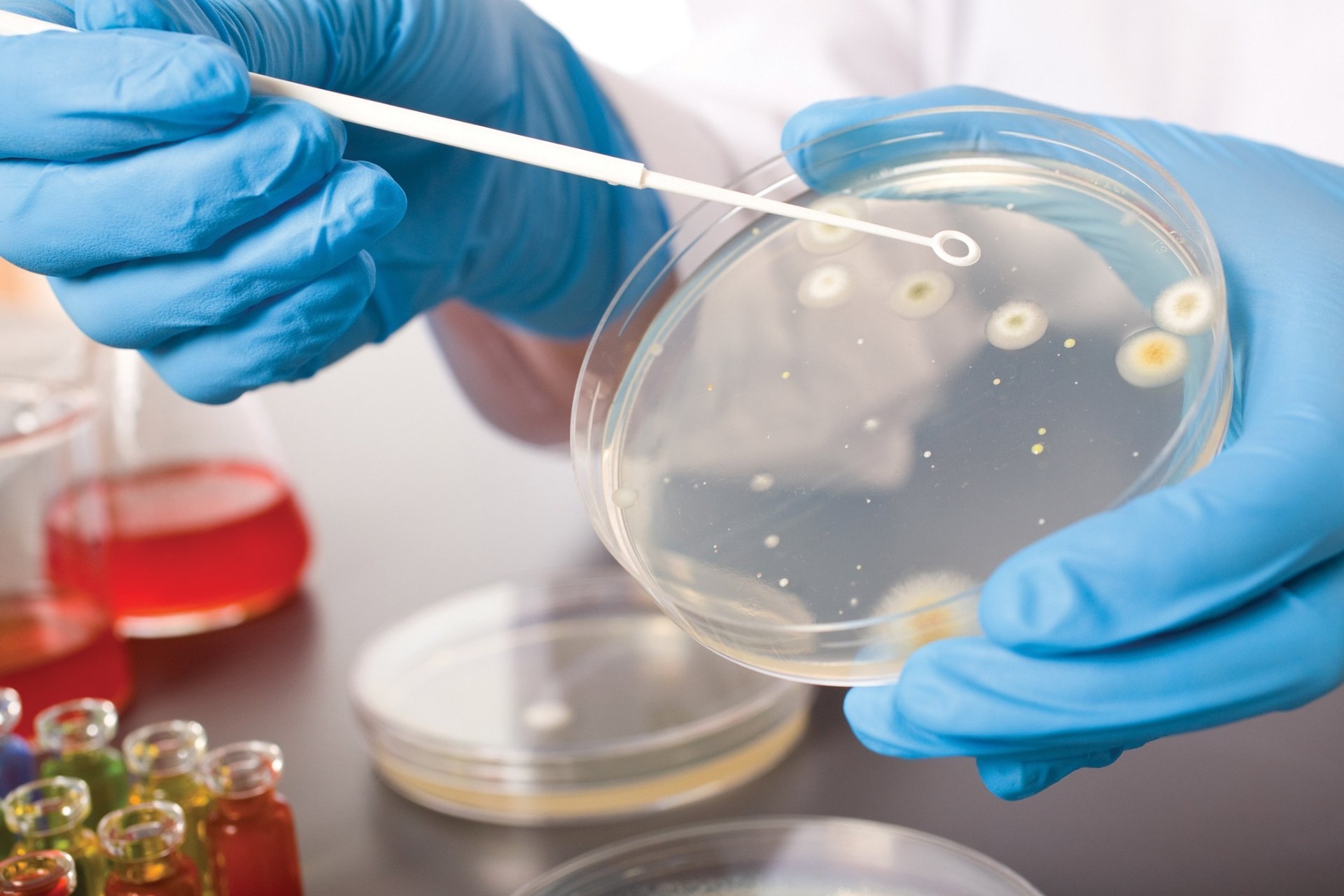 Vi sinh vật chỉ thị là gì