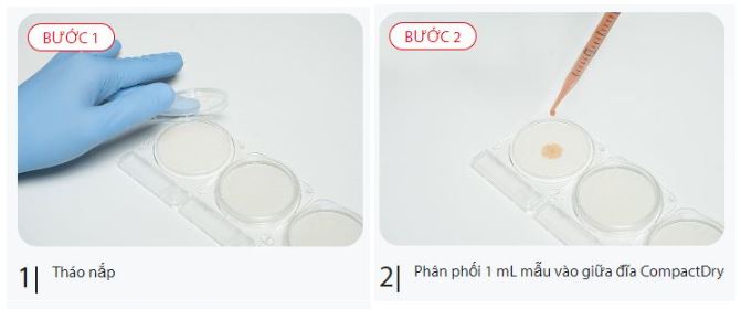 Quy trình đĩa Compact Dry