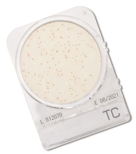 Compact Dry TC