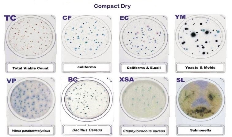 Đĩa môi trường đổ sẵn thạch Compact Dry