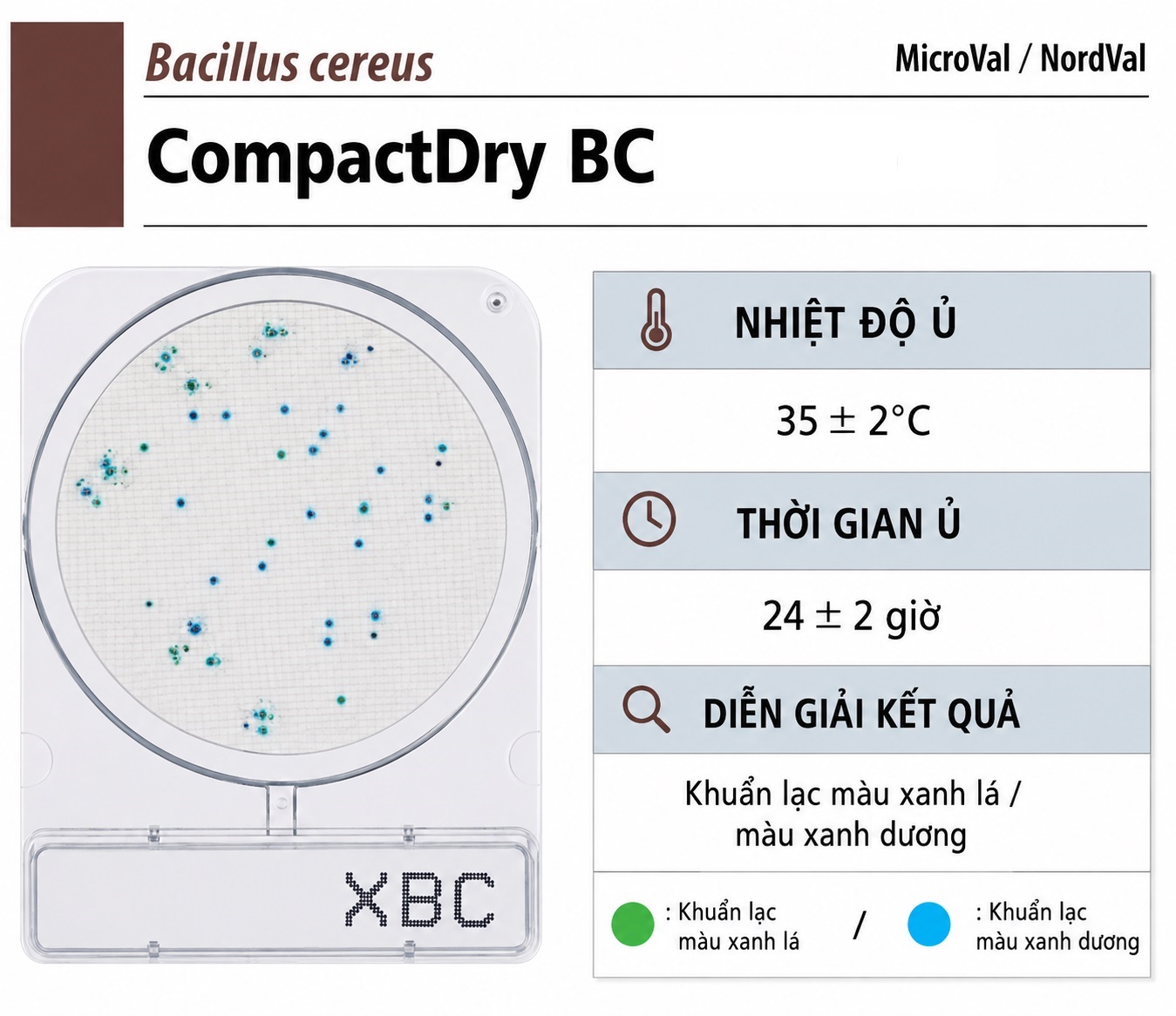 Compact Dry BC