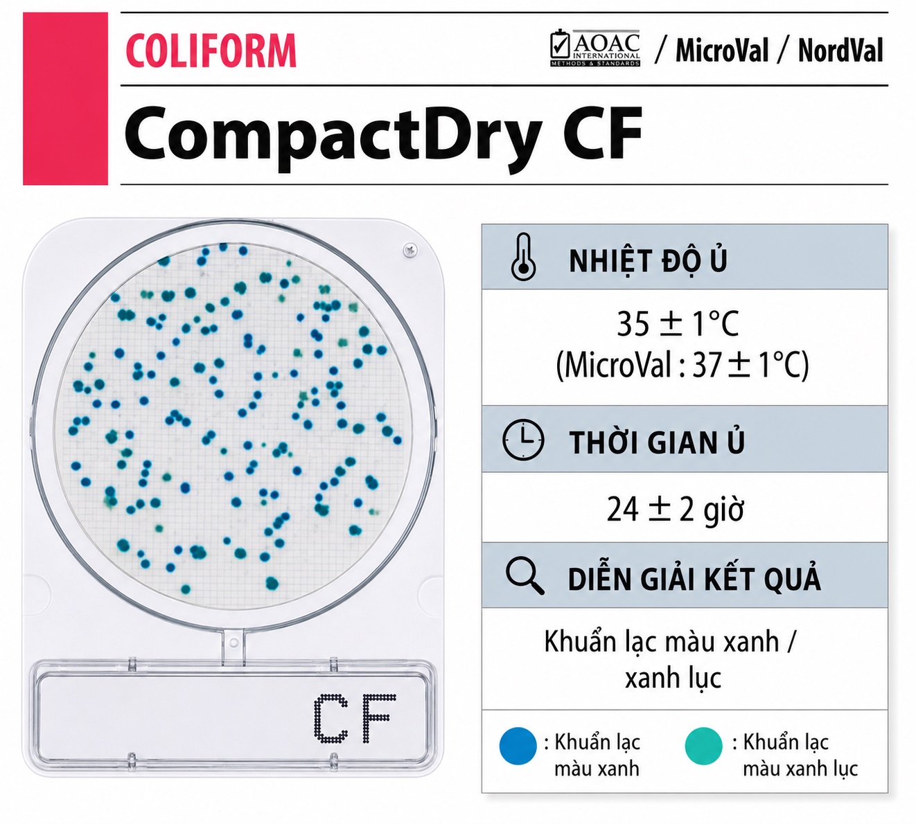 Compact Dry CF