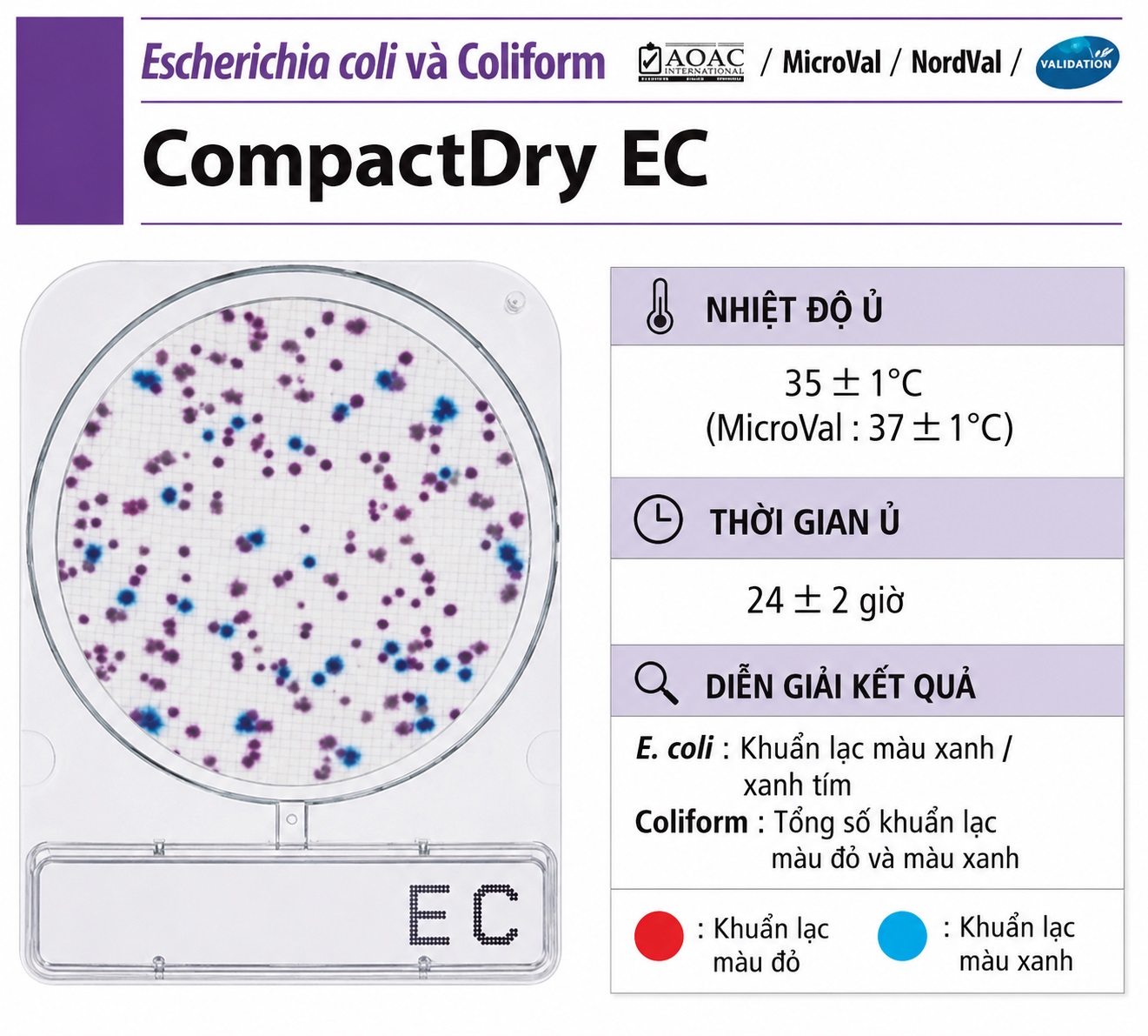 Compact Dry EC