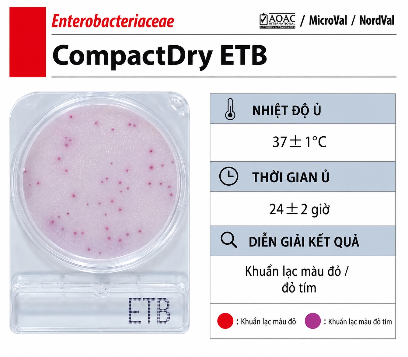 Compact Dry ETB