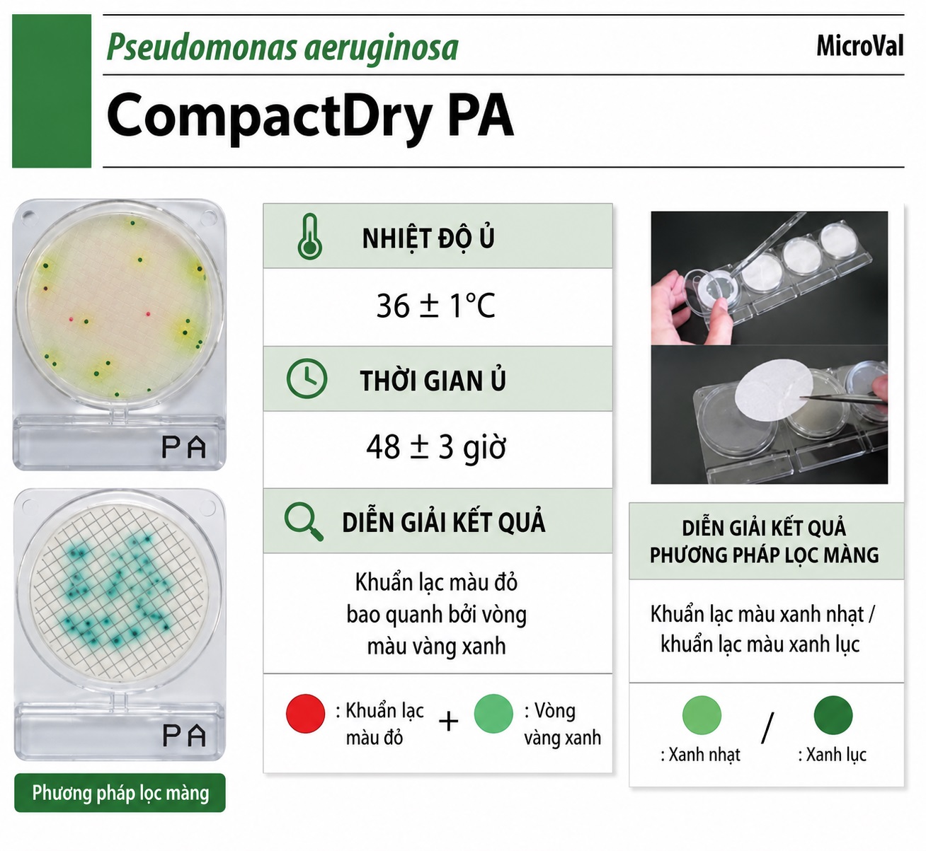 Compact Dry PA