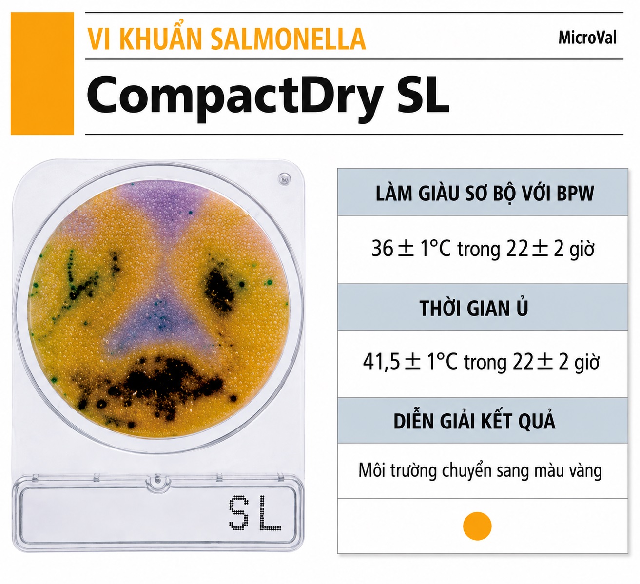 Compact Dry SL