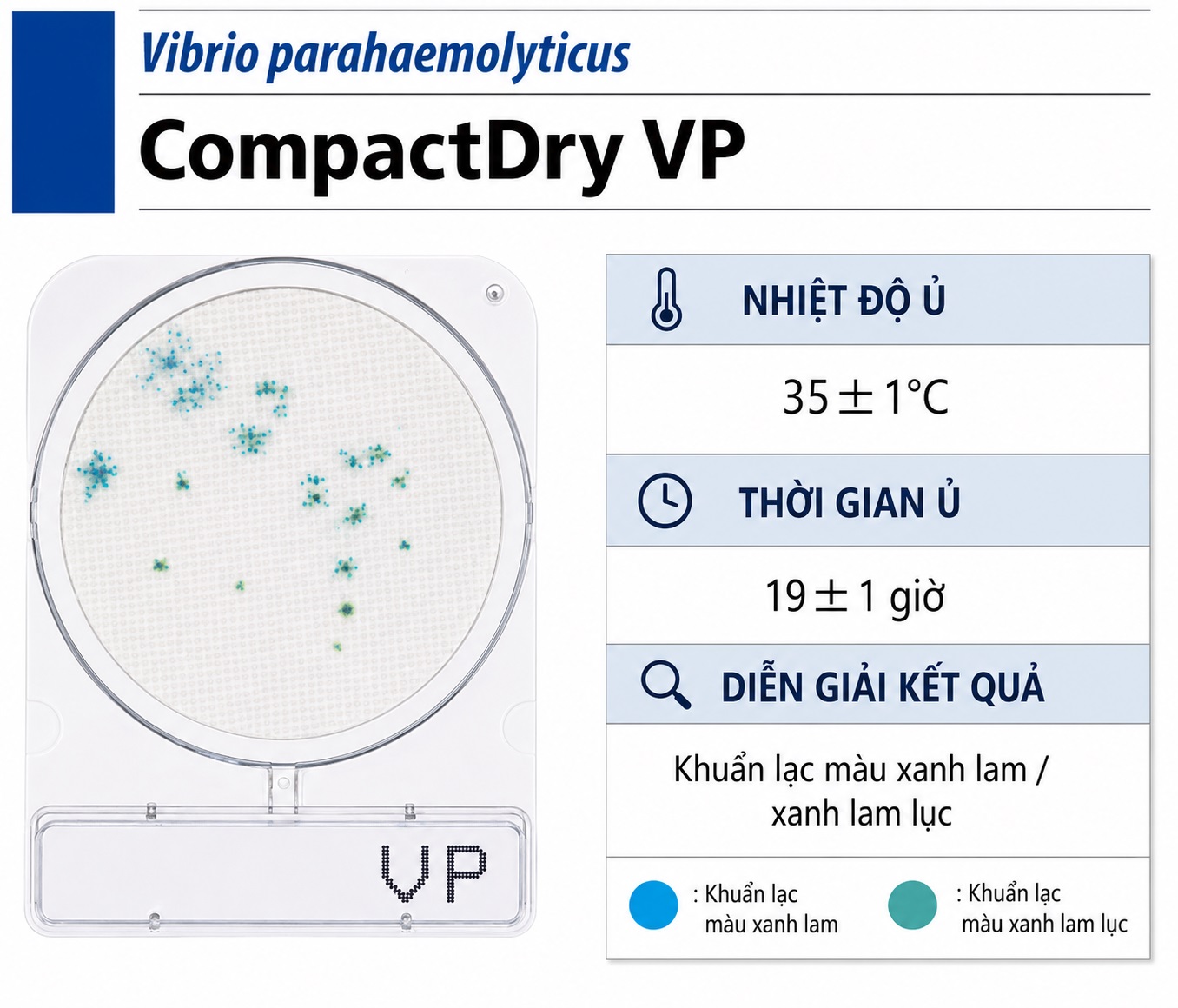 Compact Dry VP