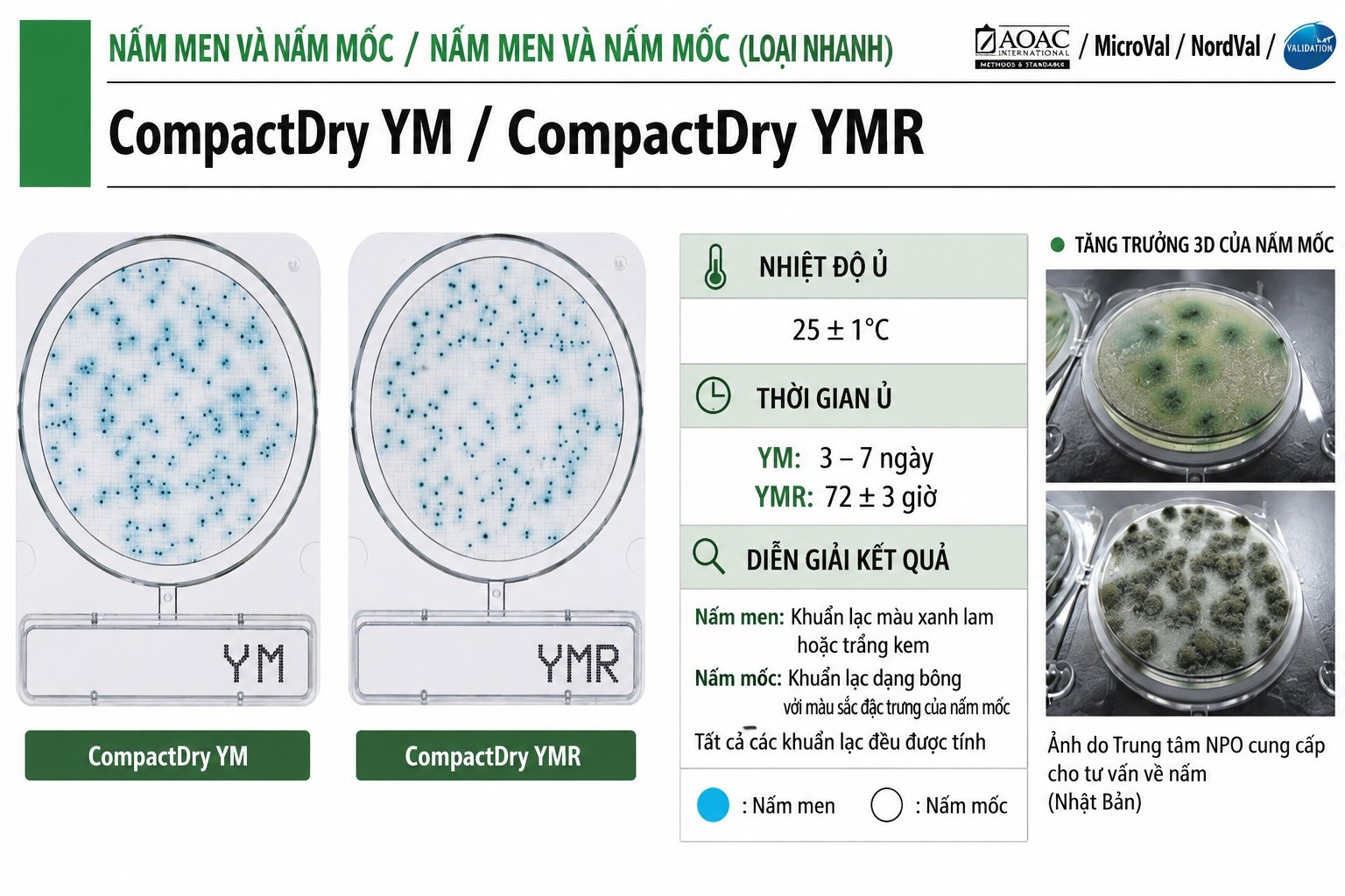 Compact Dry YMR