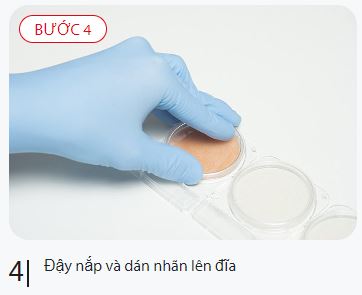 day nap dia va dan nhan
