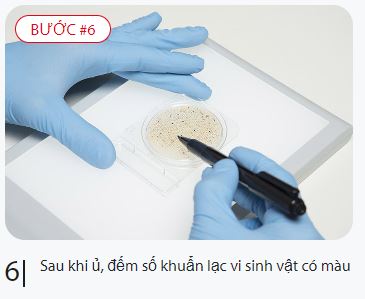 Đếm khuển lạc Compact Dry