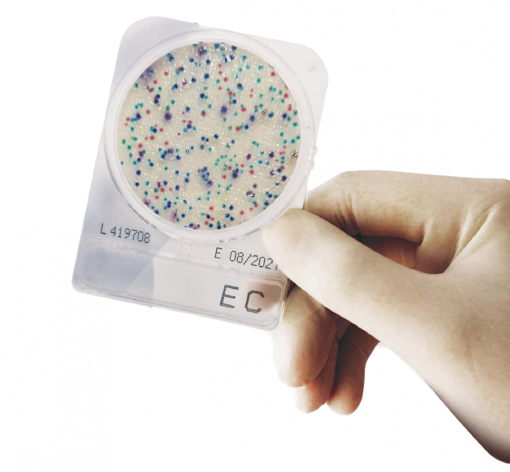 Đĩa Compact Dry