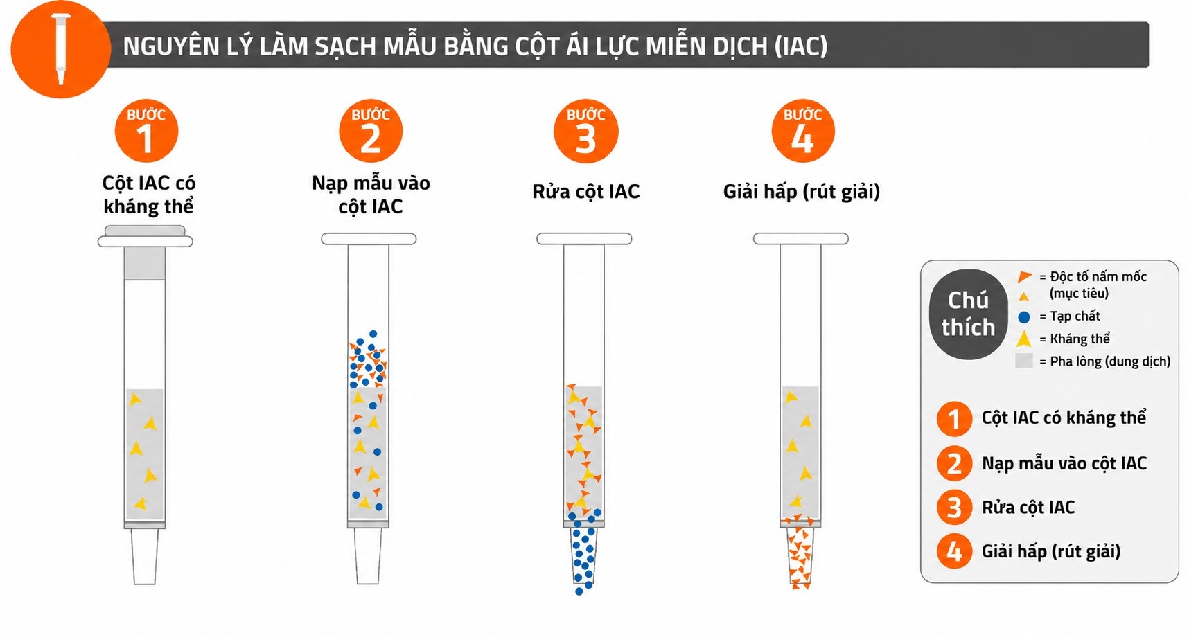 Hướng dẫn sử dụng cột ái lực miễn dịch Mycotoxin R Biopharm chi tiết