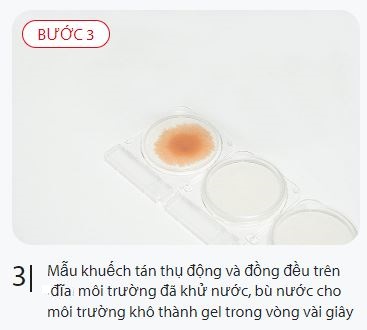 mau khuech tan vao dia compact dry 1