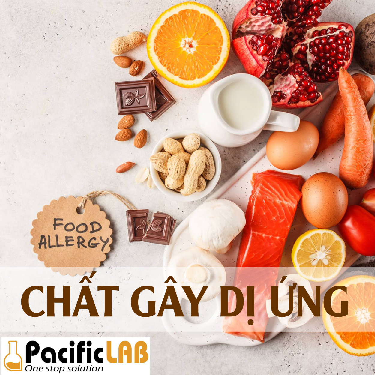 test nhanh chat gay di ung