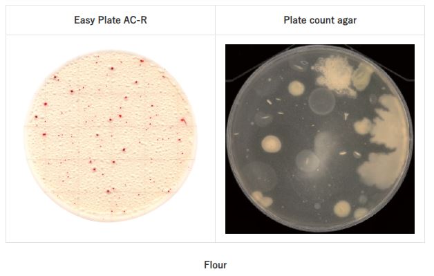 Colonies in Easy Plate AC-R