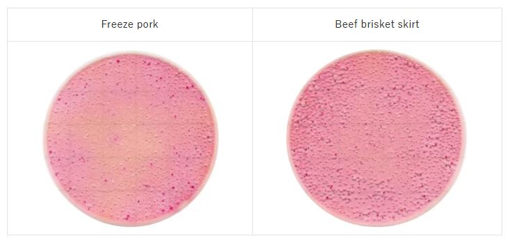 Food in Easy Plate EB