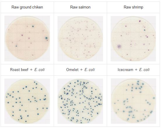 Food sample testing on Easy Plate EC