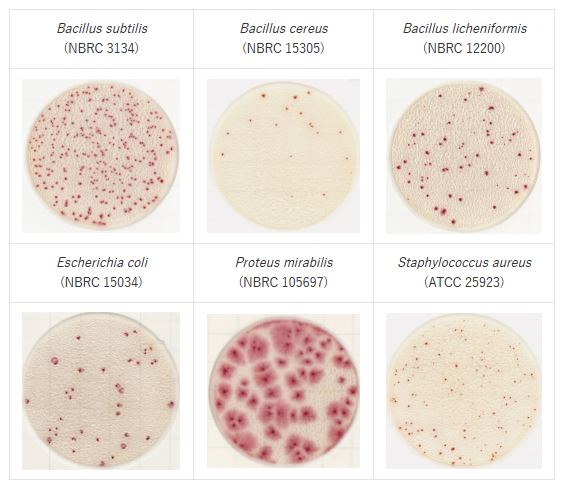 Strains in easy plate AC